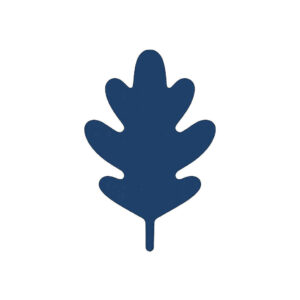 Byrådsmedlem og tidligere borgmester René Tuekær er tildelt Ridderkorset af 1. grad af Dannebrogordenen.